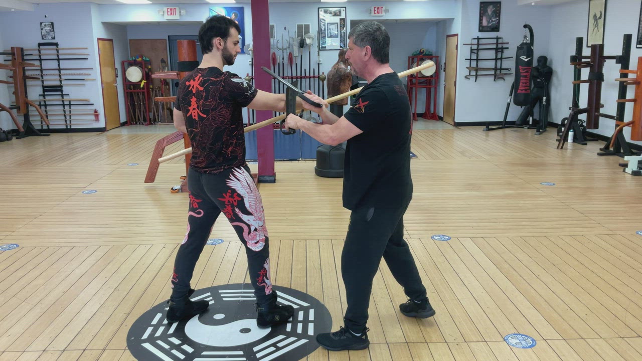 Exercise 2 Butterfly Sword Against Pole 2