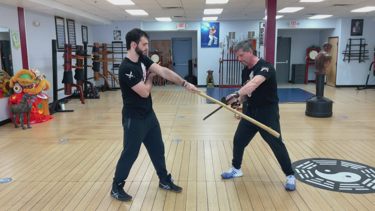 Exercise 5 Butterfly sword vs a pole 5