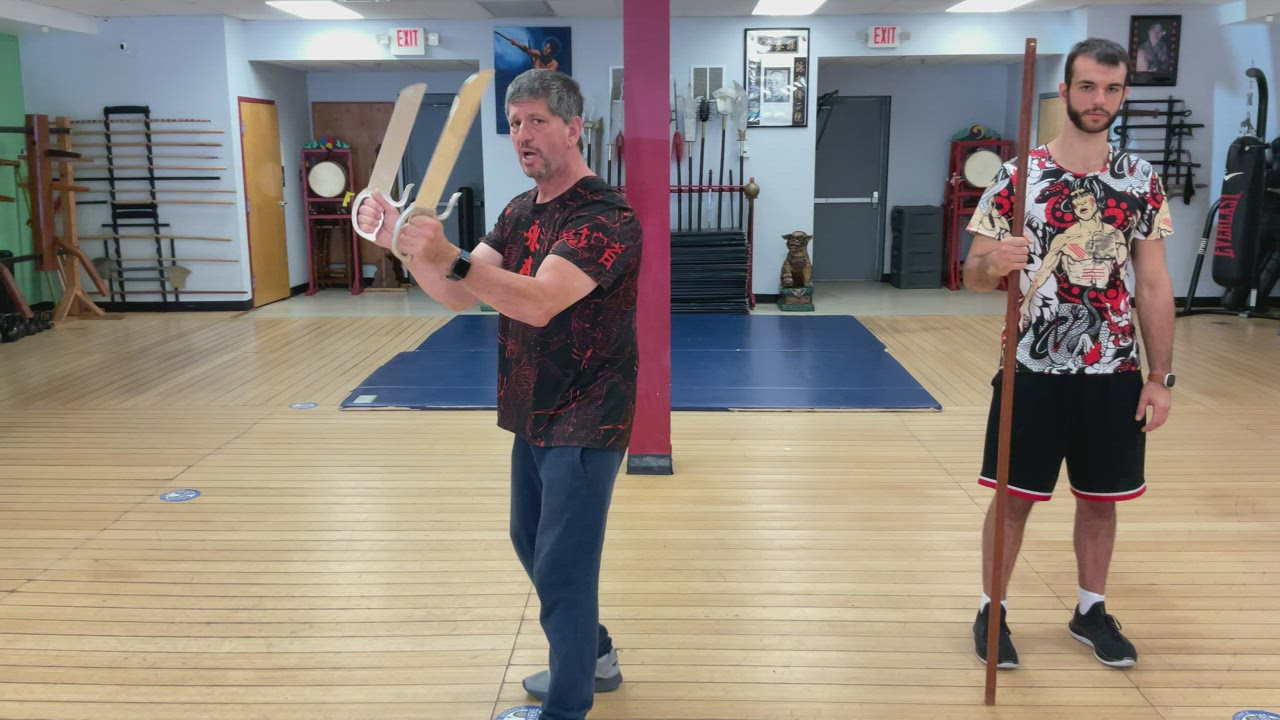 Exercise 5 Butterfly Sword Form Application Section 4