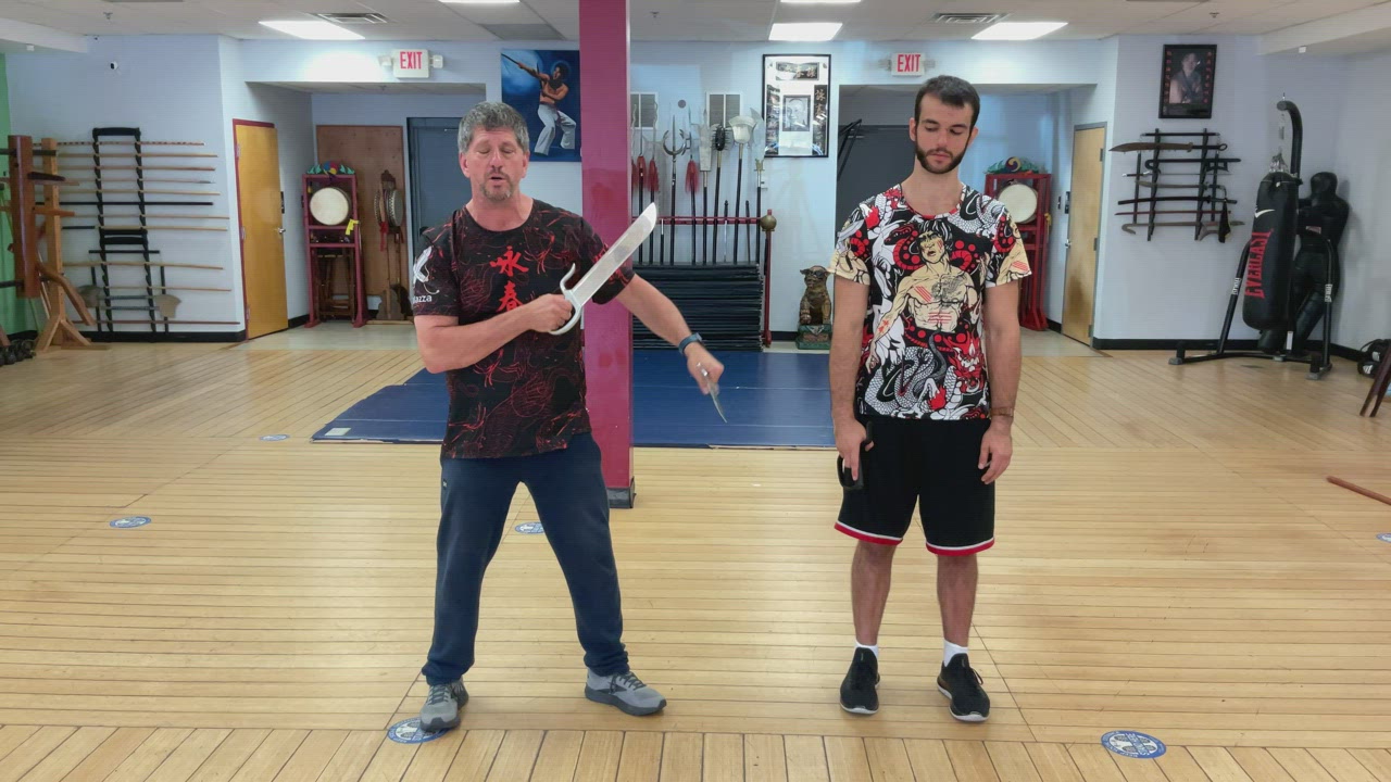 Exercise 7 Butterfly Sword Form Application Section 6