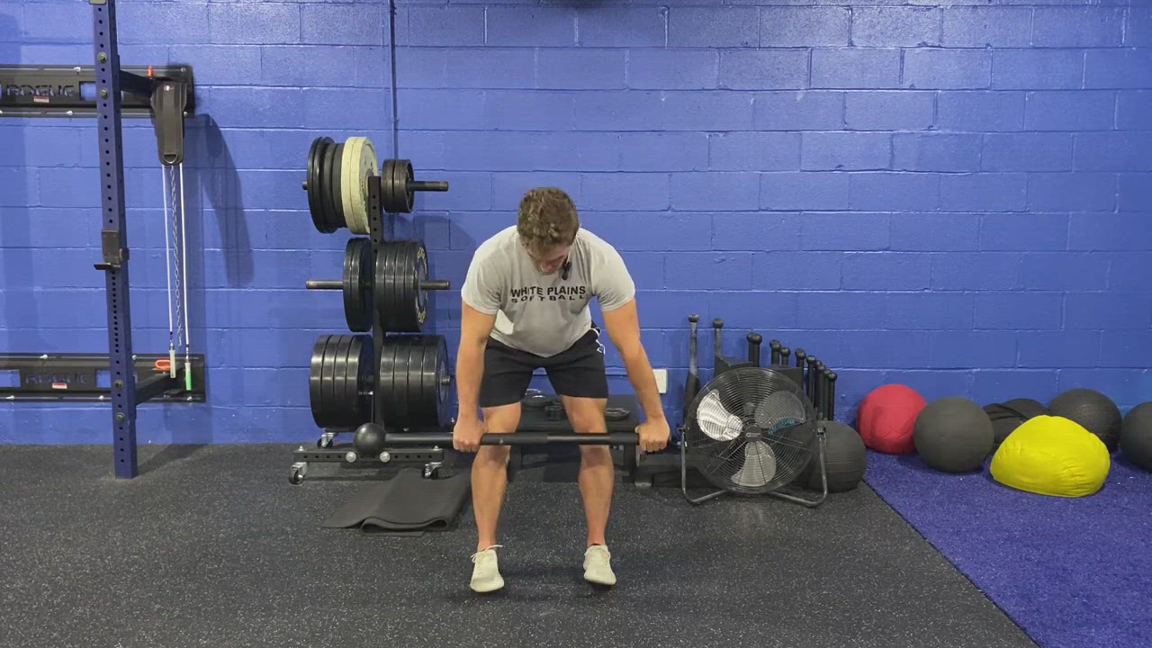 Steel Mace Bent Over Row