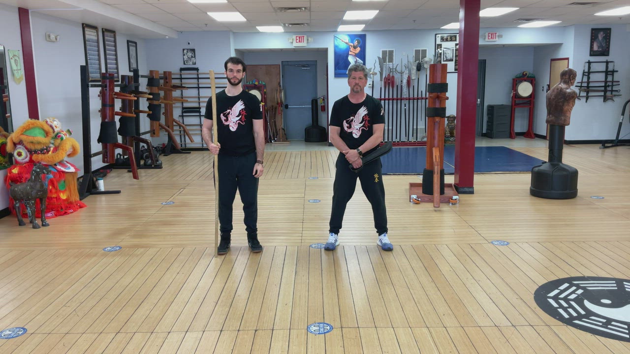 Exercise 4 Butterfly sword vs a pole 4